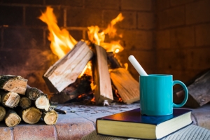 How to keep your four legged friend warm this winter How to keep your four legged friend warm this winter